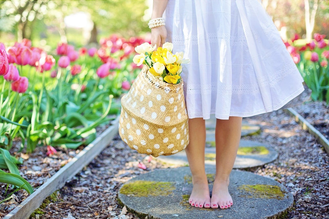 spring-2298279_1280